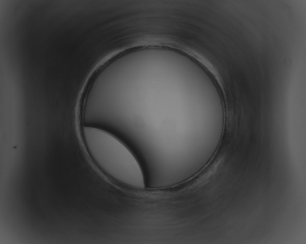 X0000101161045200806270728