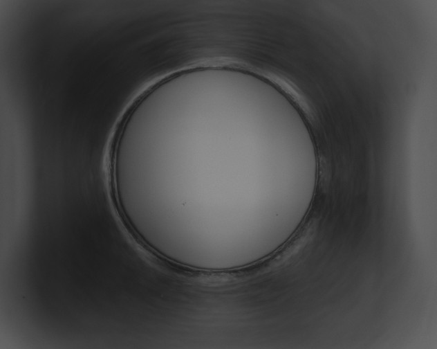 X0000101161046200806270728