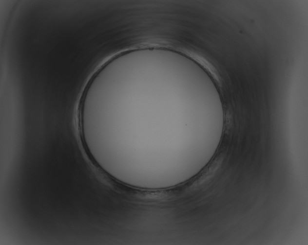 X0000101161047200806270728