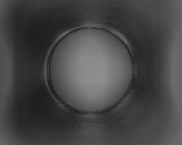 X0000101161048200806270728