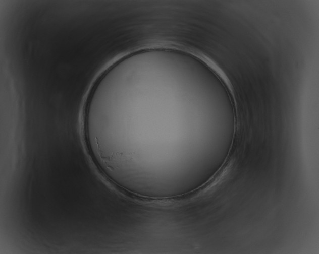 X0000101161053200806270728