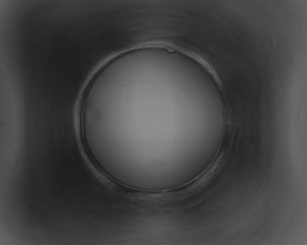 X0000101161054200806270728