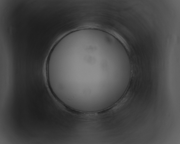X0000101161055200806270728