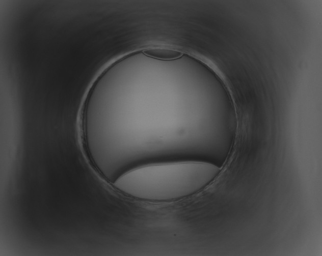 X0000101161056200806270728
