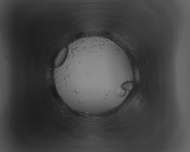 X0000101161059200806270727
