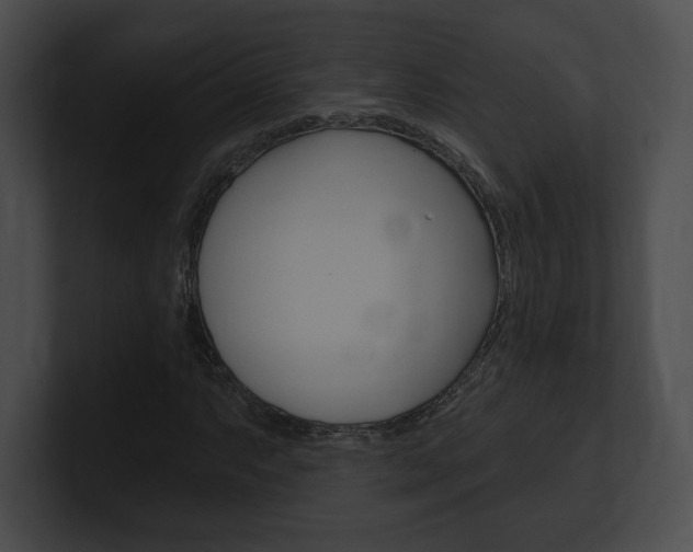 X0000101161063200806270727