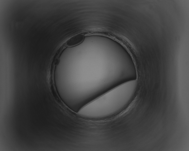X0000101161065200806270727