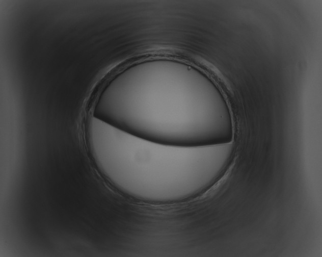 X0000101161066200806270727