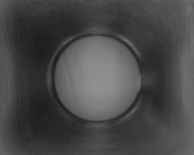 X0000101161074200806270727