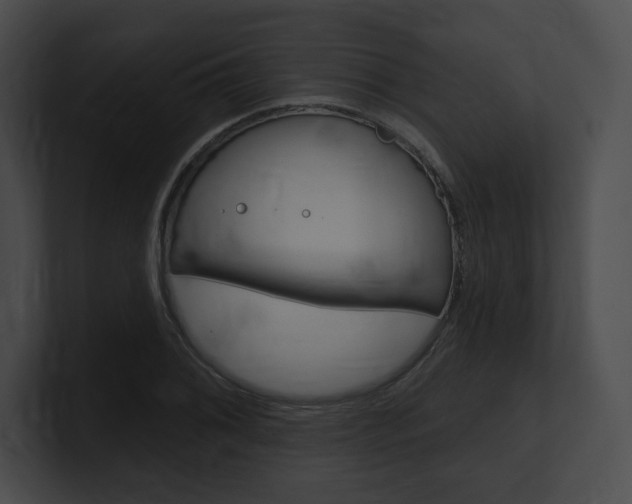X0000101161076200806270727