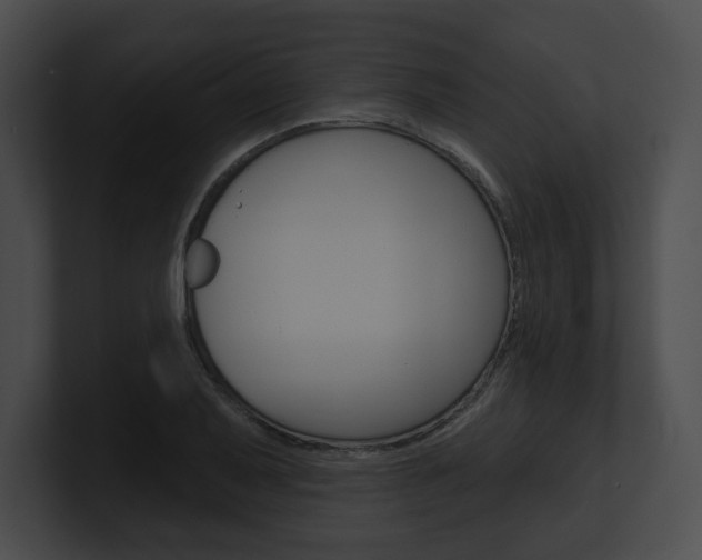 X0000101161079200806270727