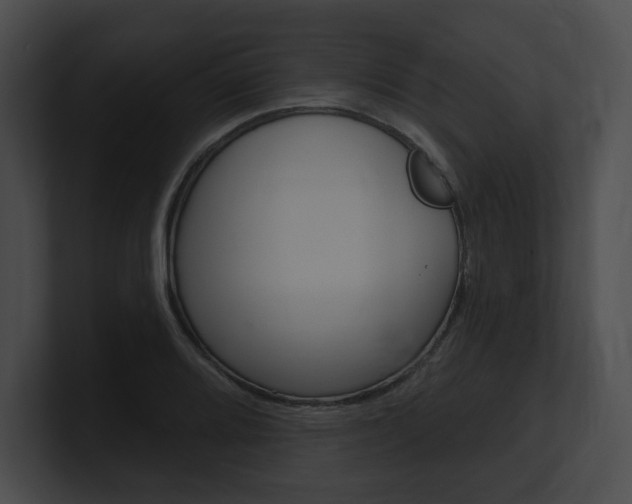 X0000101161080200806270727