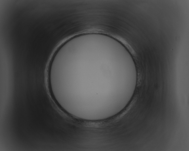 X0000101161086200806270727