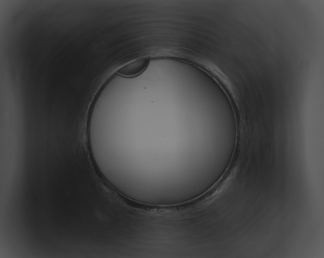 X0000101161089200806270727