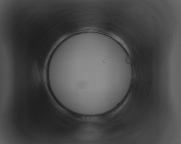 X0000101161090200806270727