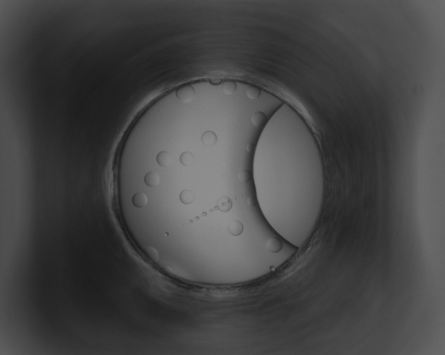 X0000101161095200806270727
