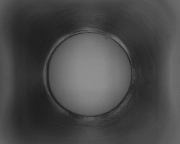 X0000101161098200806270727