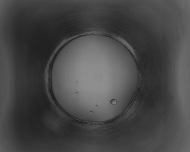 X0000101161099200806270727