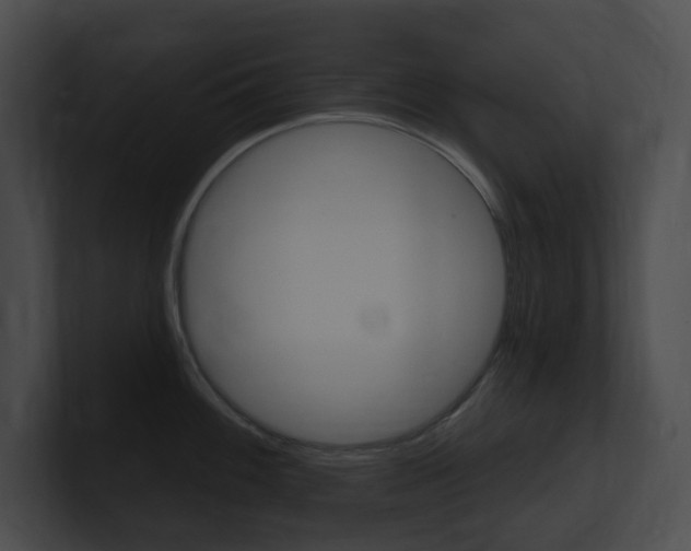 X0000101161100200806270727