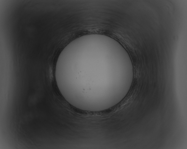 X0000101161106200806270726
