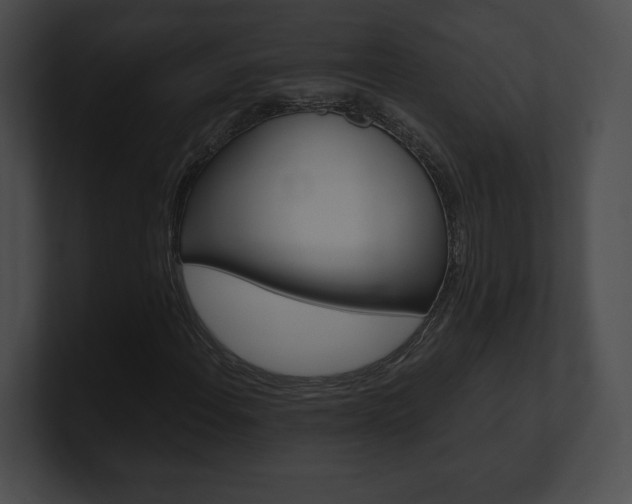 X0000101161108200806270726