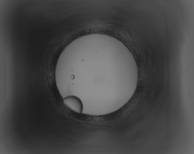 X0000101161109200806270726