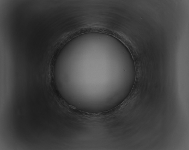 X0000101161110200806270726