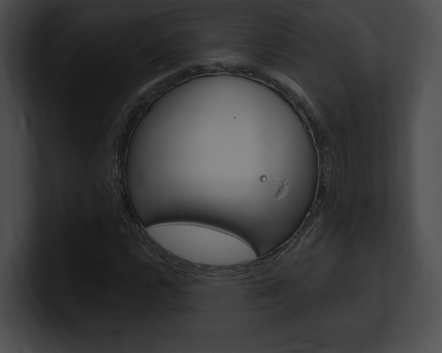 X0000101161112200806270726