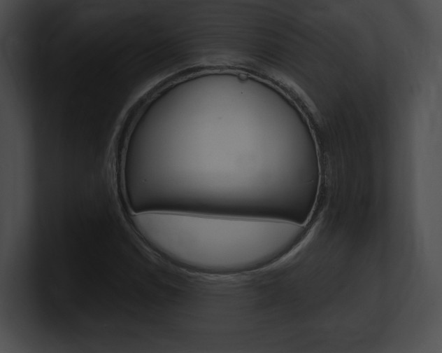 X0000101161114200806270726