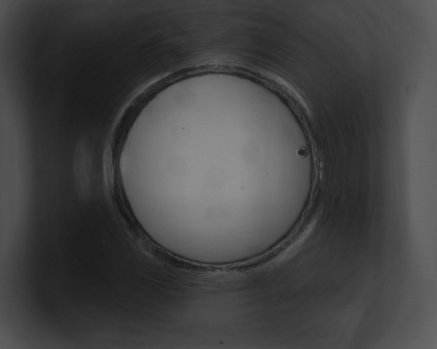 X0000101161117200806270726