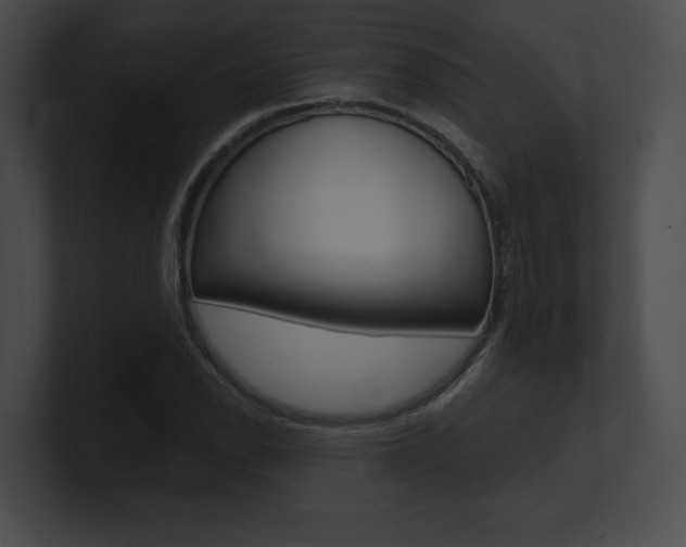 X0000101161118200806270726