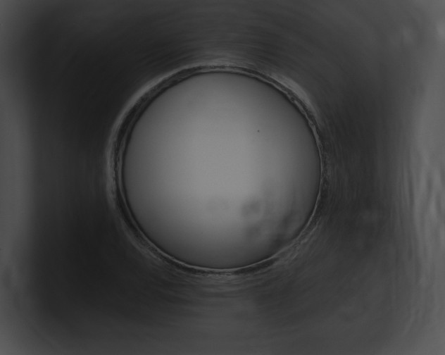 X0000101161120200806270726