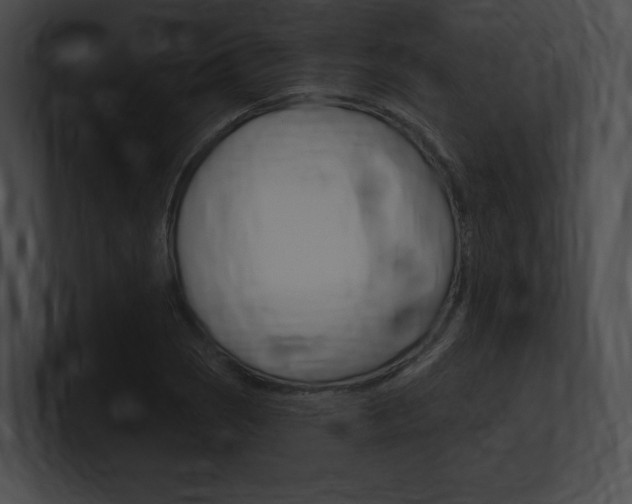 X0000101161121200806270726