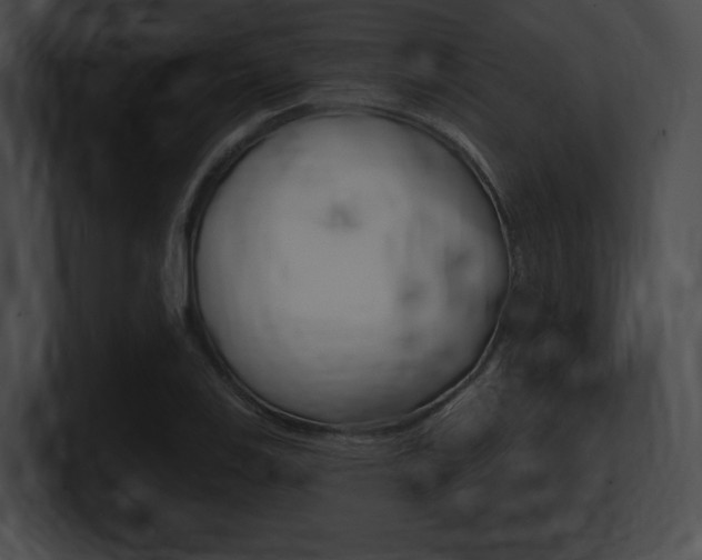 X0000101161123200806270726