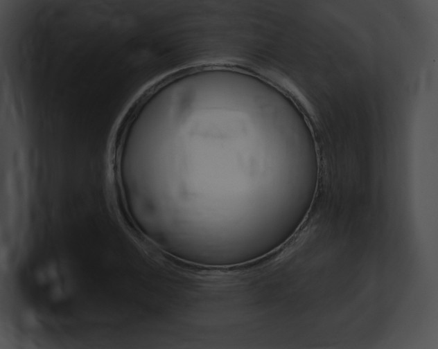 X0000101161124200806270726