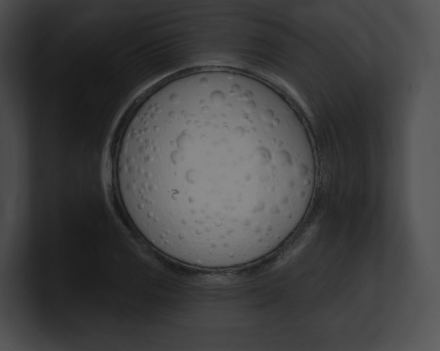 X0000101161125200806270726