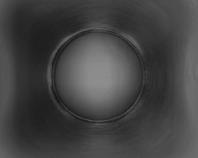 X0000101161128200806270727