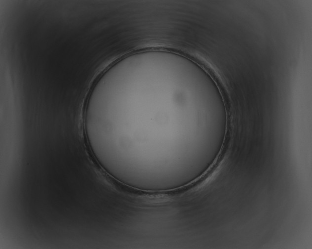 X0000101161129200806270727