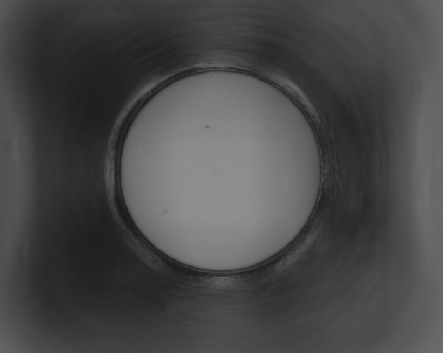X0000101161130200806270727