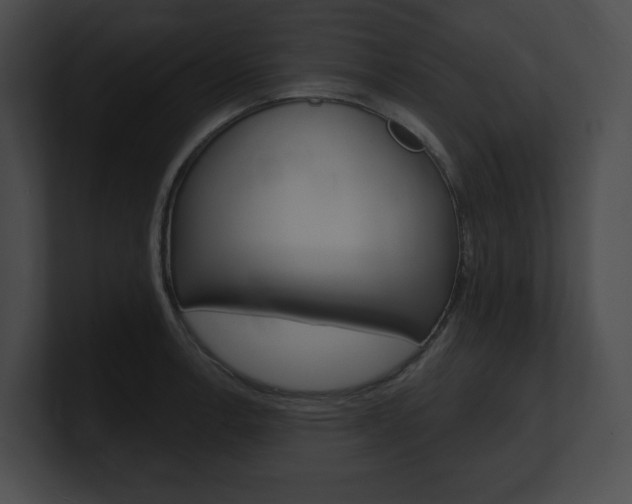 X0000101161138200806270727