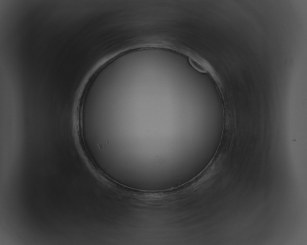X0000101161144200806270727