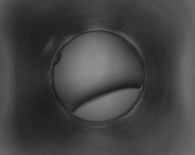 X0000101161145200806270727
