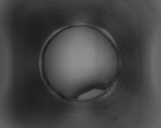 X0000101161149200806270727