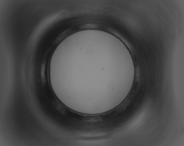 X0000101161150200806270727