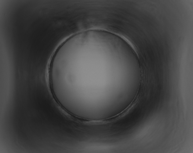 X0000101161151200806270727