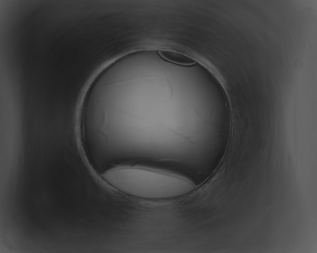 X0000101161152200806270727