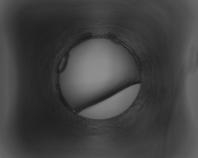X0000101161153200806270726
