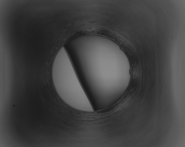 X0000101161156200806270726