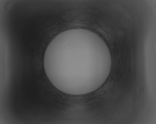 X0000101161157200806270726