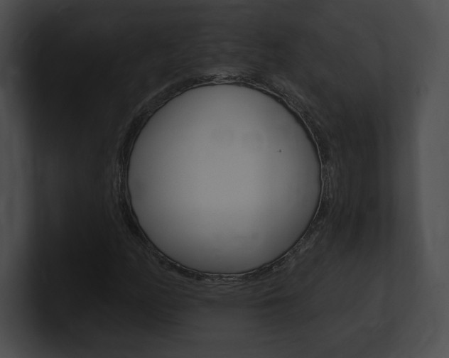 X0000101161158200806270726